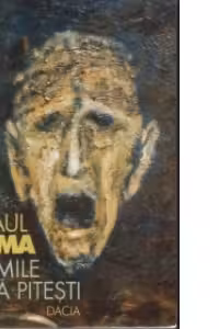 Patimile dupa Pitesti