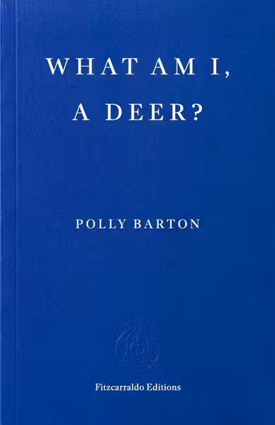 What Am I, A Deer?