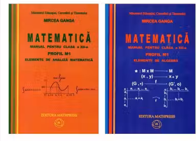 Manual matematică Clasa 12 M1 - 2 Volume 2007