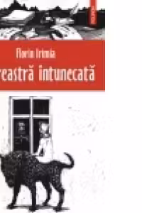 O fereastra intunecata