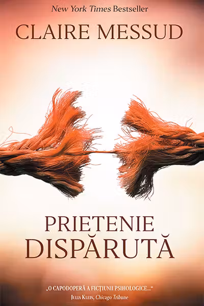 Prietenie disparuta