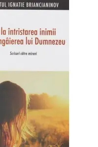De la intristarea inimii la mangaierea lui Dumnezeu. Scrisori catre mireni