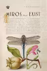 Miros deci exist