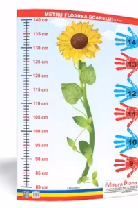 Metru floarea-soarelui 1, 4 metri - plansa 50x70 - Proiecte Tematice