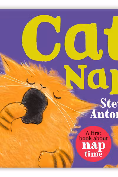 Cat Nap