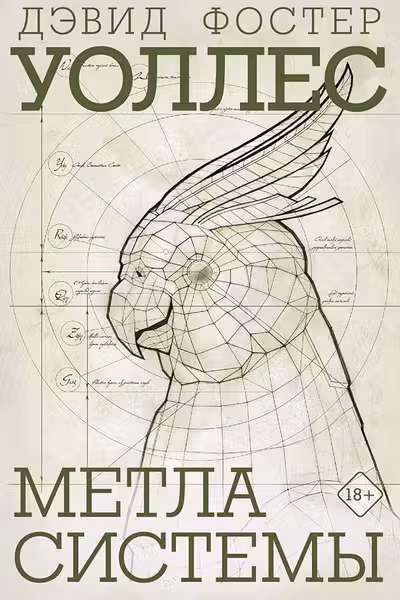 Метла системы