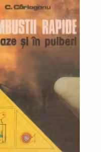 Combustii rapide in gaze si in pulberi