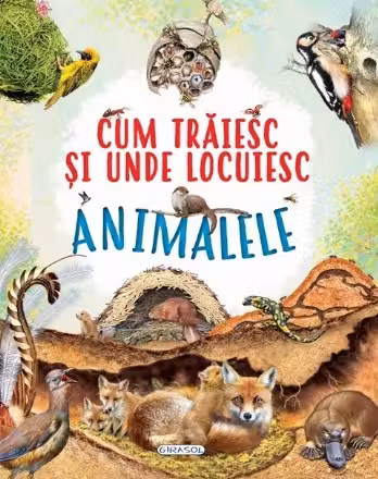 Cum traiesc si unde locuiesc animalele