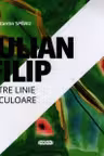 Intre linie si culoare