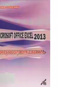 Microsoft Office Excel 2013 - Teorie si aplicatii pentru clasa a X-a
