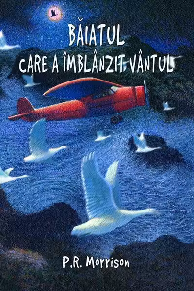 Băiatul care a îmblânzit vântul l