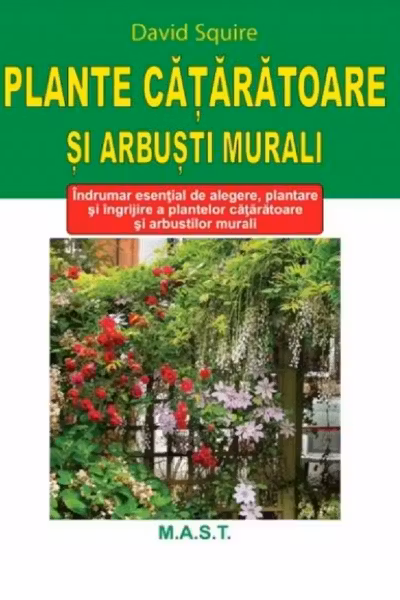 Plante cățărătoare și arbuști murali