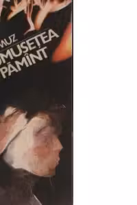 Frumusetea pe Pamint