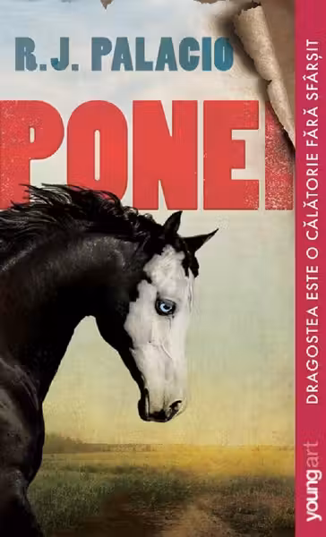 Ponei