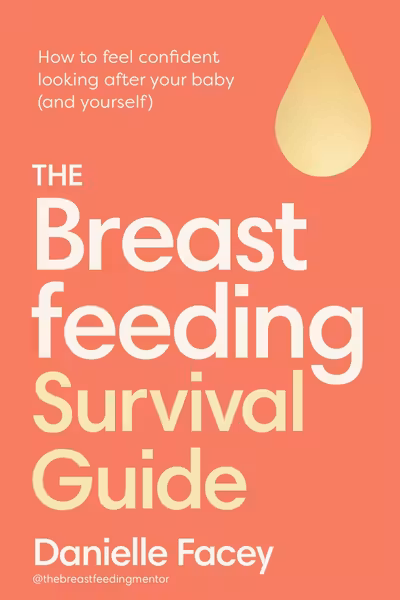 The Breastfeeding Survival Guide