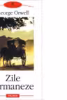 Zile birmaneze