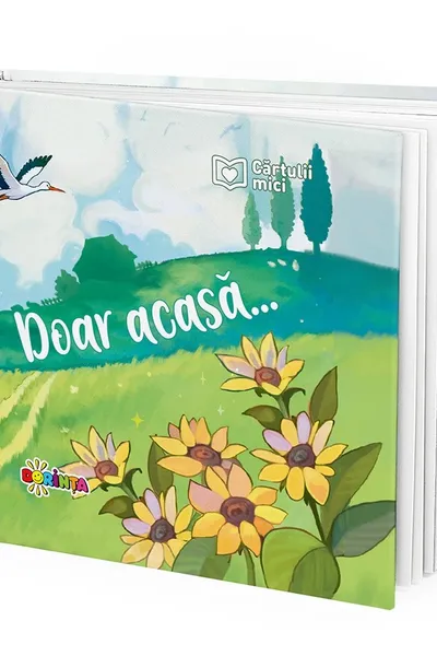 Citate. Doar acasa