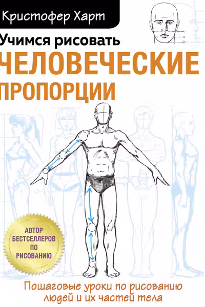 Учимся рисовать человеческие пропорции