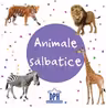 Animale salbatice. Carti pliate