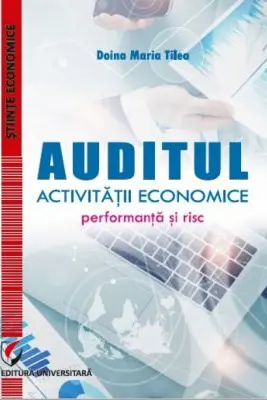 Auditul activitatii economice. Performanta si risc
