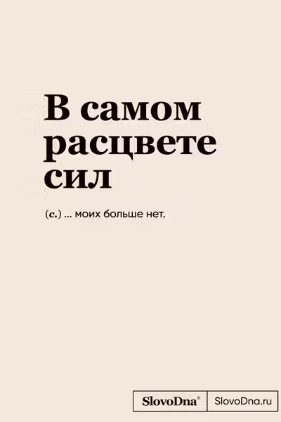 Блокнот SlovoDna. В самом расцвете сил
