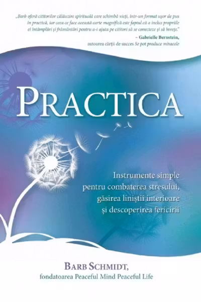 Practica
