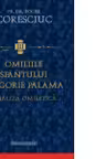 Omiliile Sfantului Grigorie Palama. Analiza omiletica