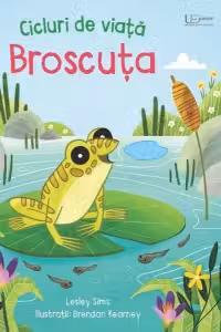 Cicluri de viata. Broscuta