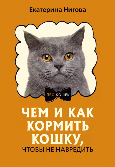 Чем и как кормить кошку чтобы не навредить