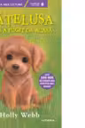 Prima mea lectura. CATELUSA CARE A FUGIT DE ACASA. Holly Webb