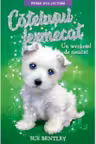 Prima mea lectura. CATELUSUL FERMECAT. Un weekend de neuitat.