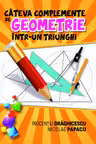 Cateva complemente de geometrie intr-un triunghi