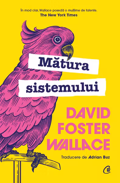 Matura sistemului