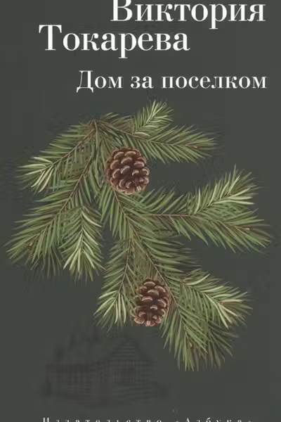 Дом за поселком. Токарева