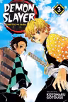Demon Slayer - Kimetsu no Yaiba, Vol. 3