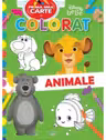 Prima mea carte de colorat
