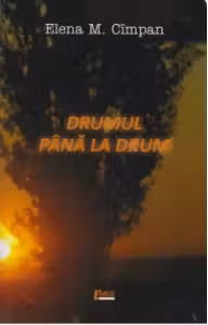 Drumul pana la drum