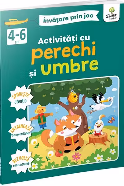 Activitati cu perechi si umbre