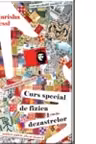 Premium. Curs special de fizica a dezastrelor