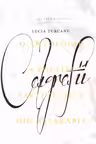 Caligrafii. Lucia Turcanu.