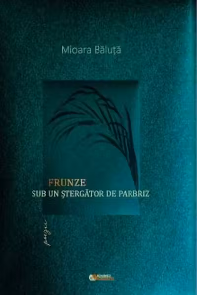 Frunze sub un ștergător de parbriz