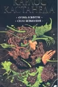 Кастанеда. Том 4. Огонь изнутри. Сила безмолвия