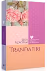 CFRD. Trandafiri