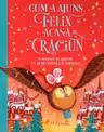 CUM A AJUNS FELIX ACASA DE CRACIUN.