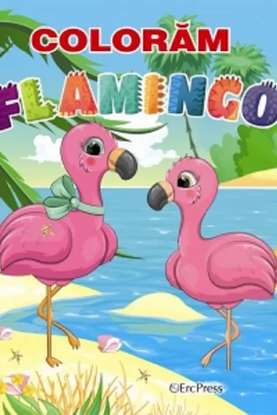 Colorăm flamingo