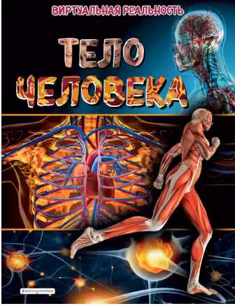 Тело человека. Виртуальная реальность