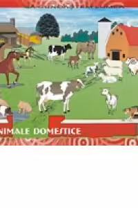 Sa cunoastem lumea inconjuratoare (7 planse A3 si 96 de jetoane color)