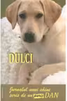 Dulci. Jurnalul unui caine scris de un Puric Dan.