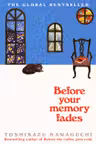 Before Your Memory Fades