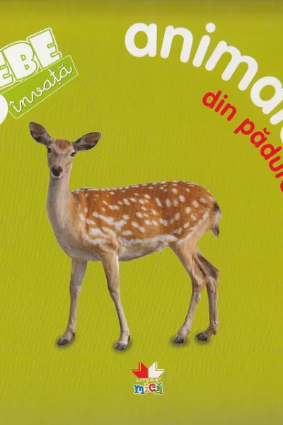 Bebe invata: Animale din padure